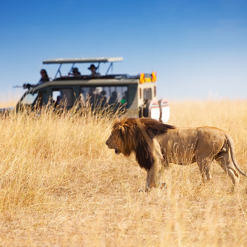 africa thumbnail
