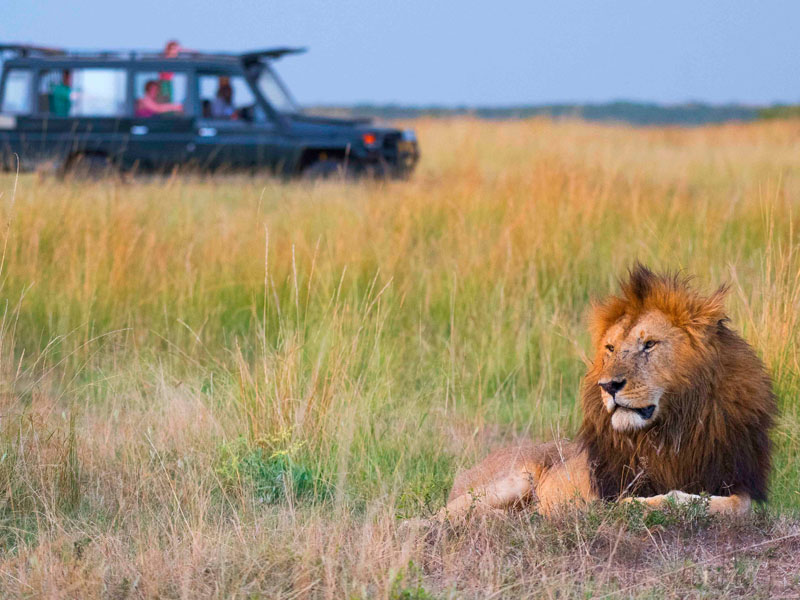 africa