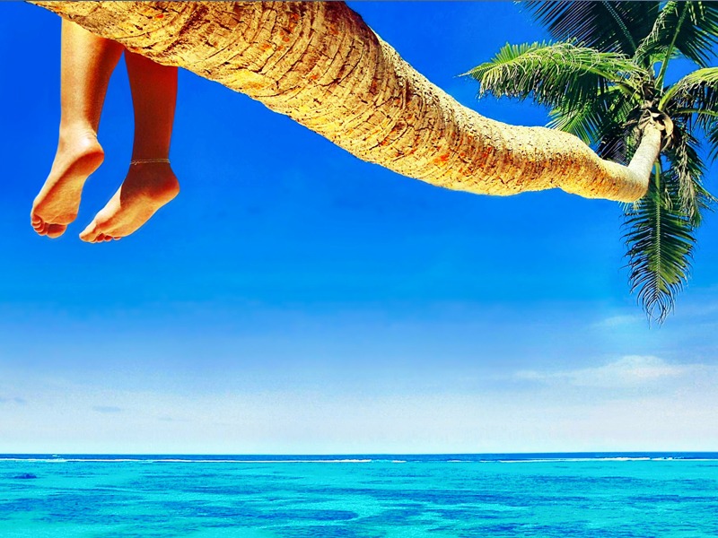 caribbean