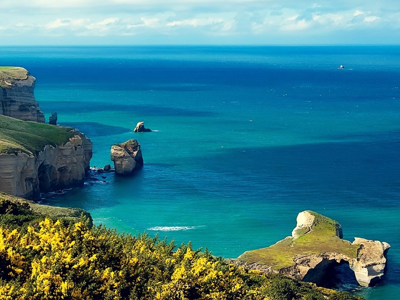 new zealand