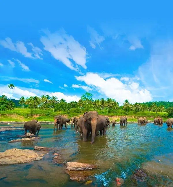 srilanka1